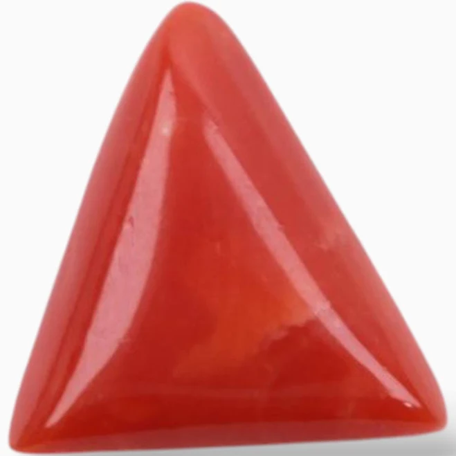 Buy Red Coral Loose Gemstone per Piece Online UAE | Eleganza Gems