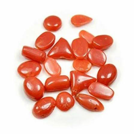Buy Redcoral Loose Gemstone per Piece Online UAE | Eleganza Gems