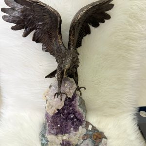 Falcon Bronze + Amethyst