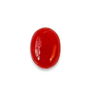 Buy Red Coral Loose Gemstone per Carat Online UAE | Eleganza Gems